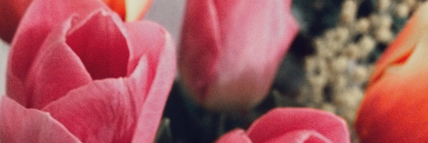 _olya_la's profile banner image