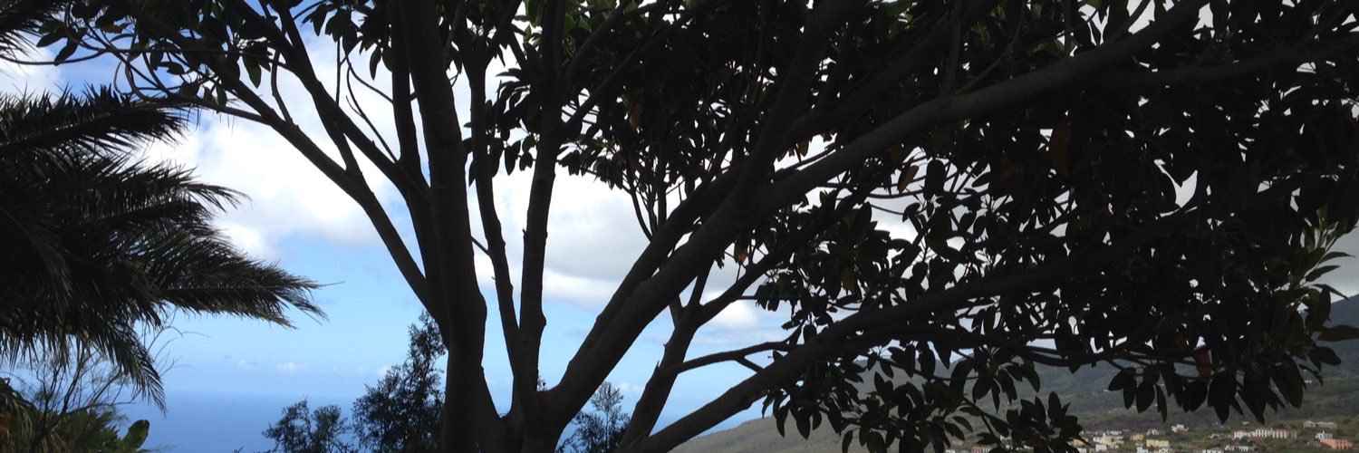 BrnVan's profile banner image