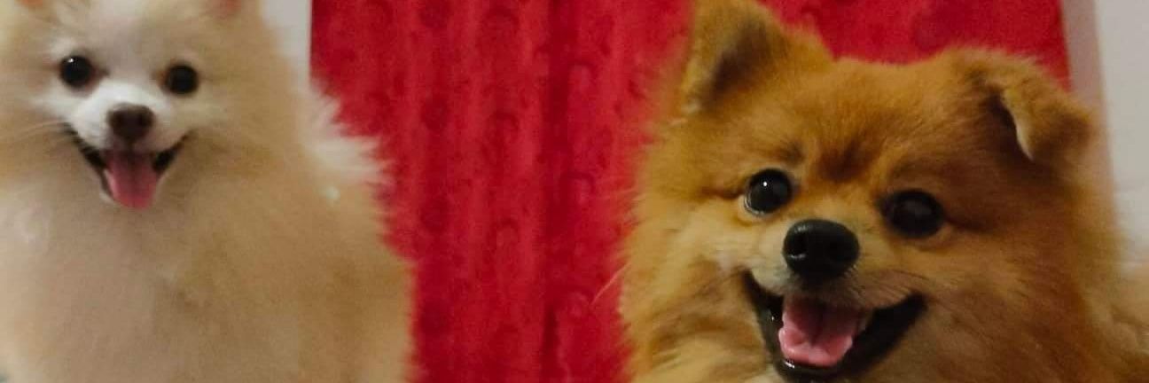 reenuhtakeuchi's profile banner image