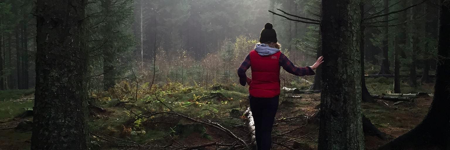 LyndyDonaldson's profile banner image
