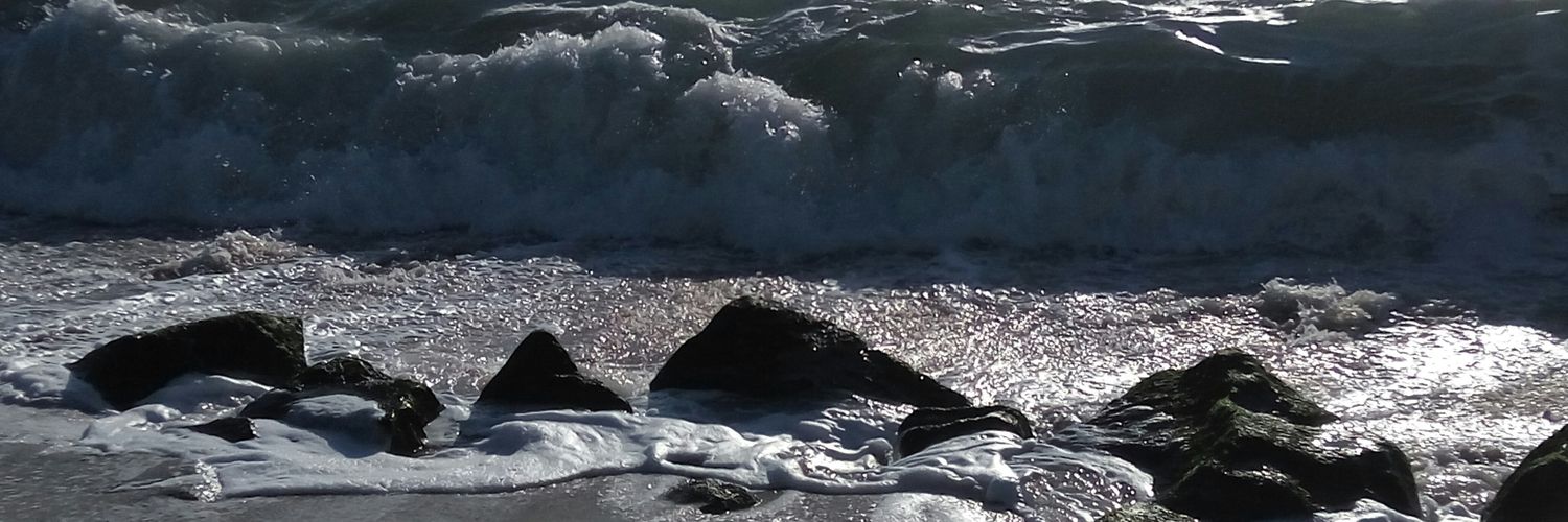 Roger Campdepadros banner