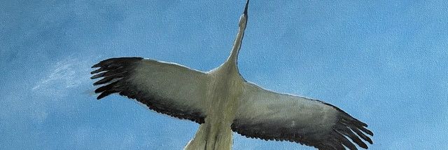 fikar_r's profile banner image