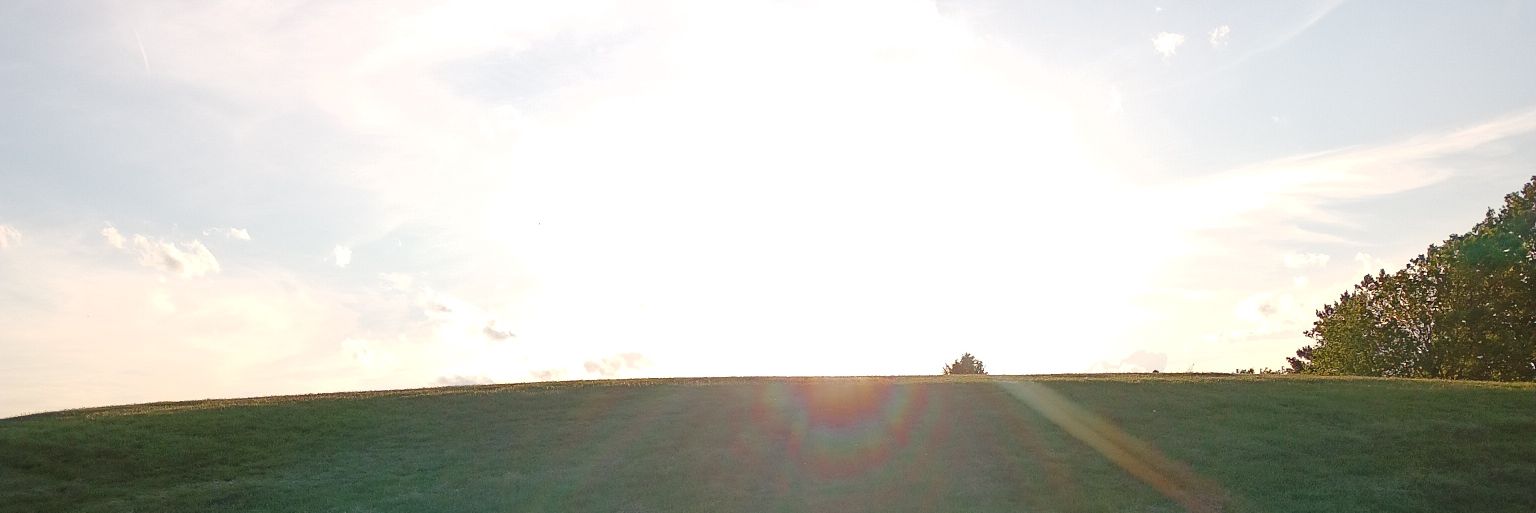 ForneverWorld (Tim Roosevelt) banner
