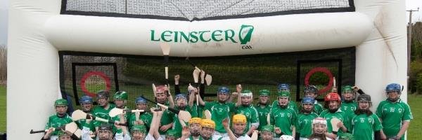 leinstergaa's profile banner image