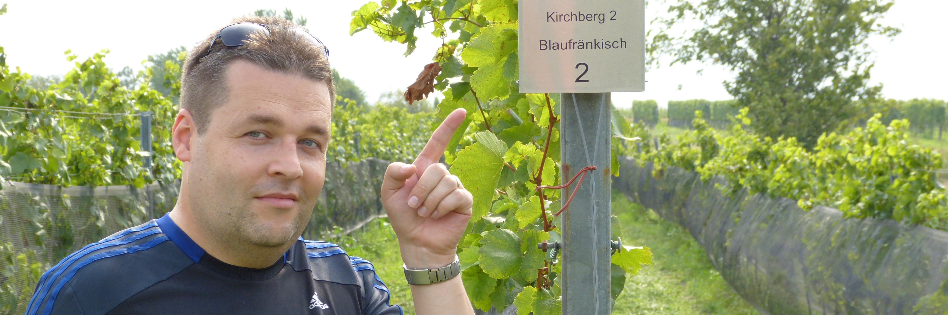 Michal Kridlo banner