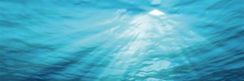 Marta Abegon Novella banner