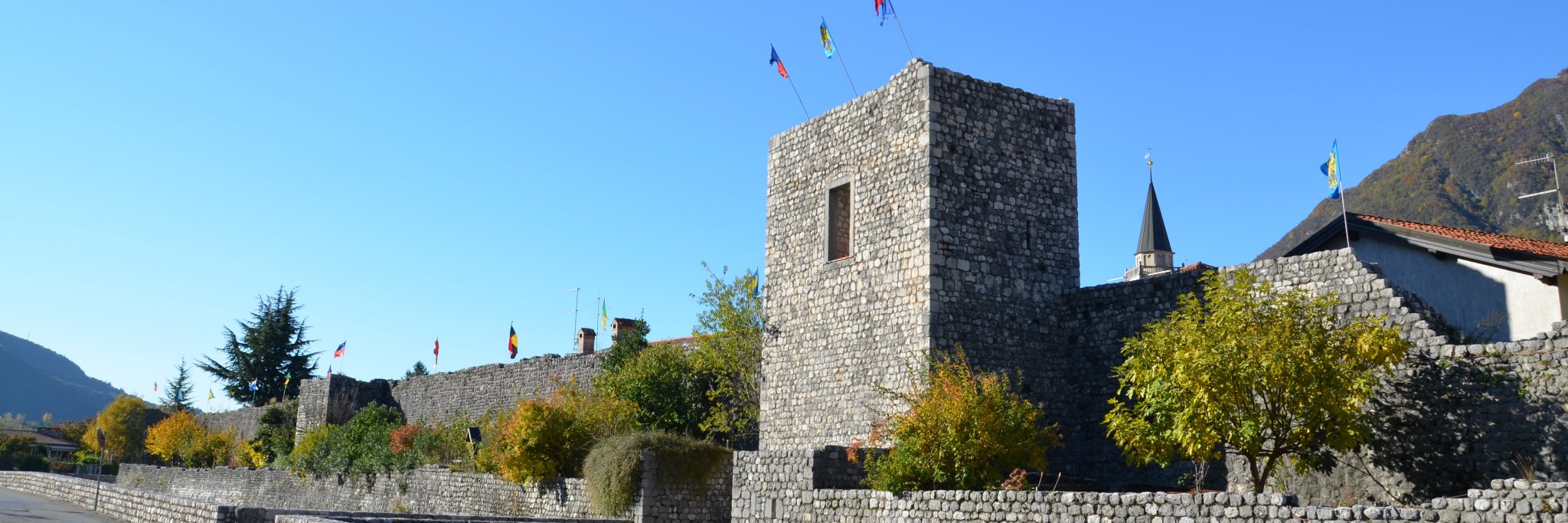 provenzone's profile banner image
