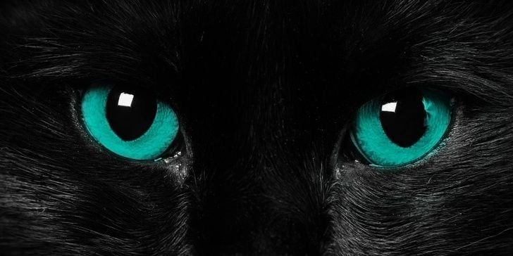 Katonwildan's profile banner image