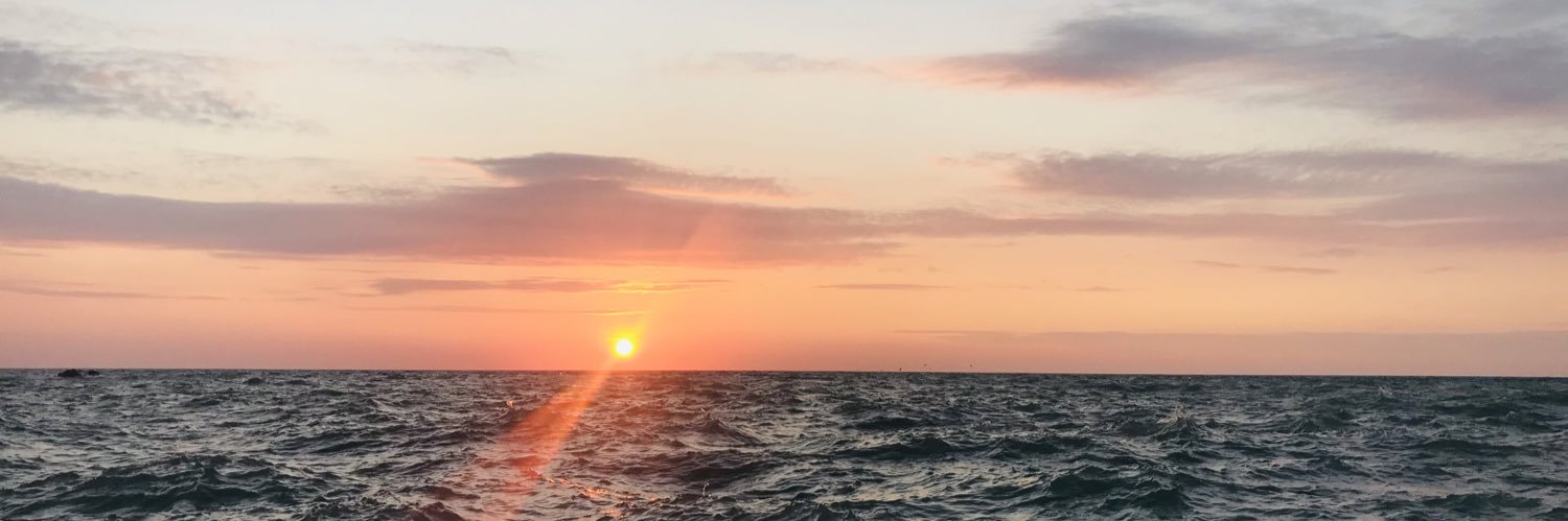 GauthierRauline's profile banner image