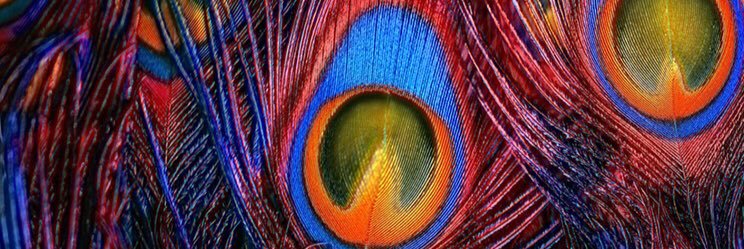 HnasNasreen's profile banner image