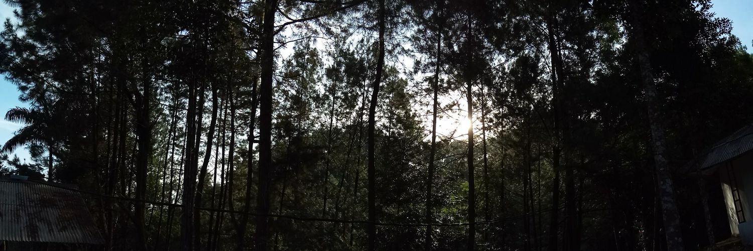 evaasyifa's profile banner image