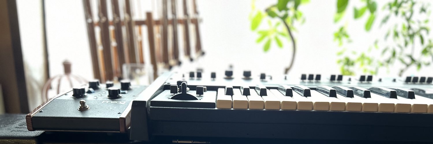hrsngn's profile banner image