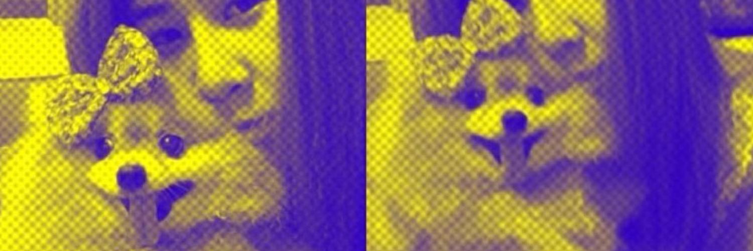 Porplablink's profile banner image