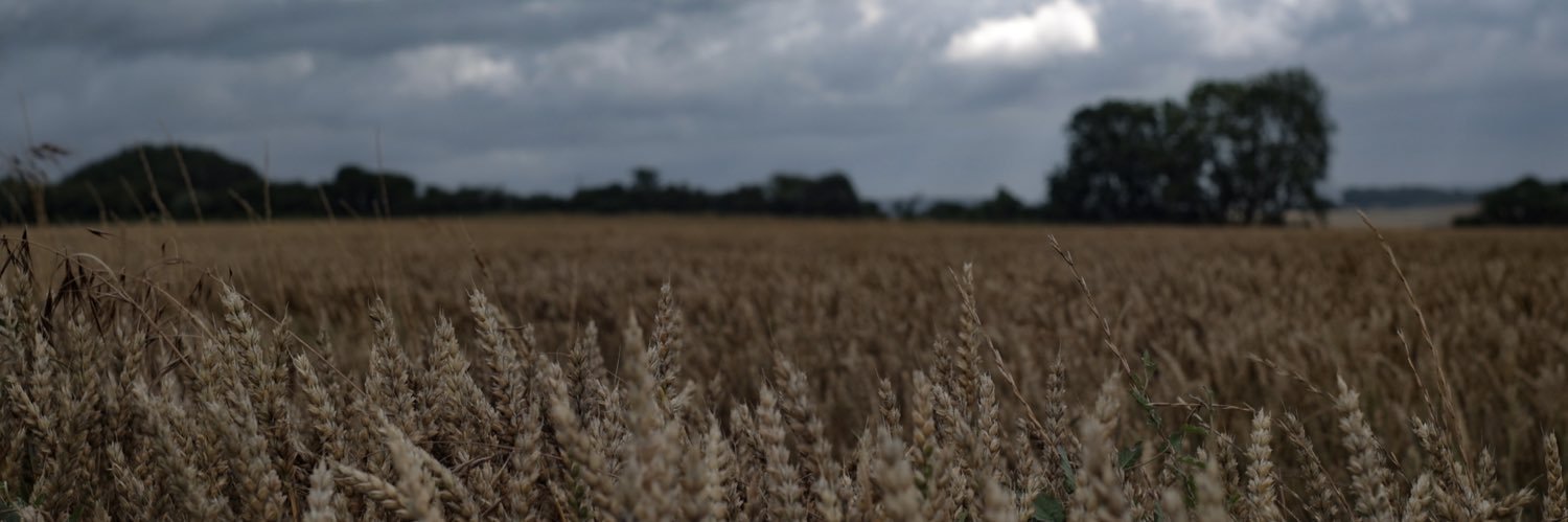 AvernerFilms's profile banner image