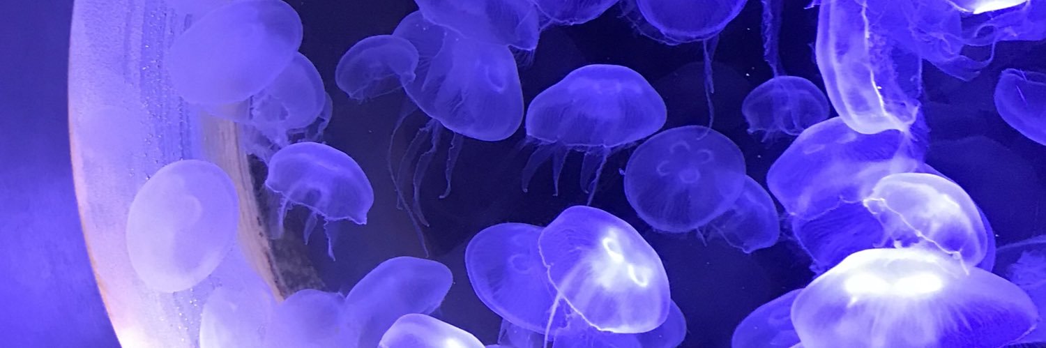jasminea23's profile banner image