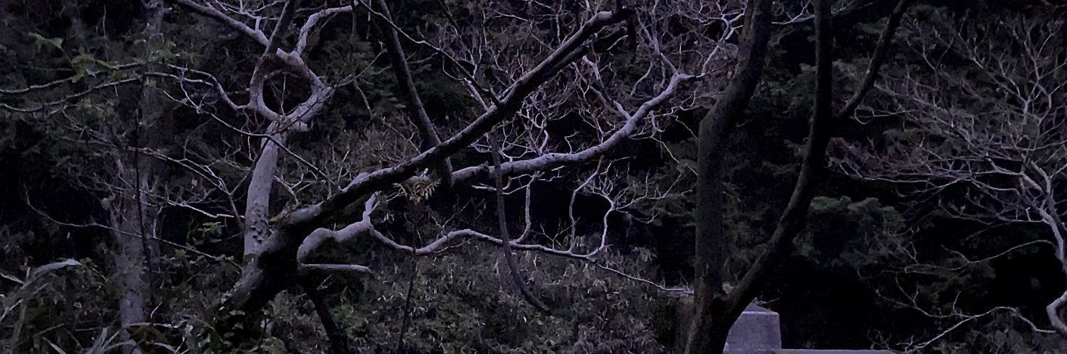 hiro_666's profile banner image