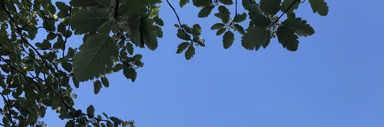 Clémens Riepma banner