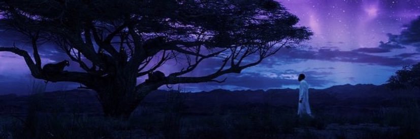 thenameisaf's profile banner image