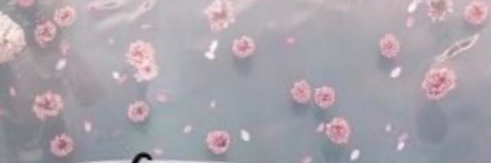 seham206's profile banner image