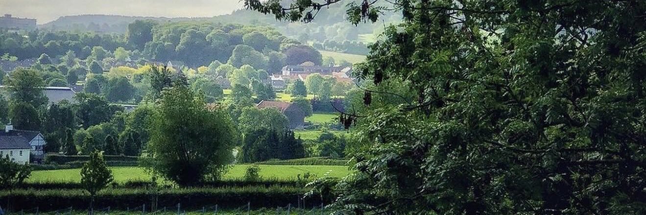 Govert van Eerde banner