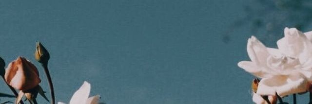 helmizakaria's profile banner image