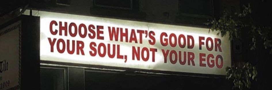 Francesca Kingdon banner