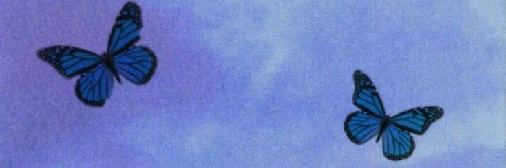 francesca_orma's profile banner image