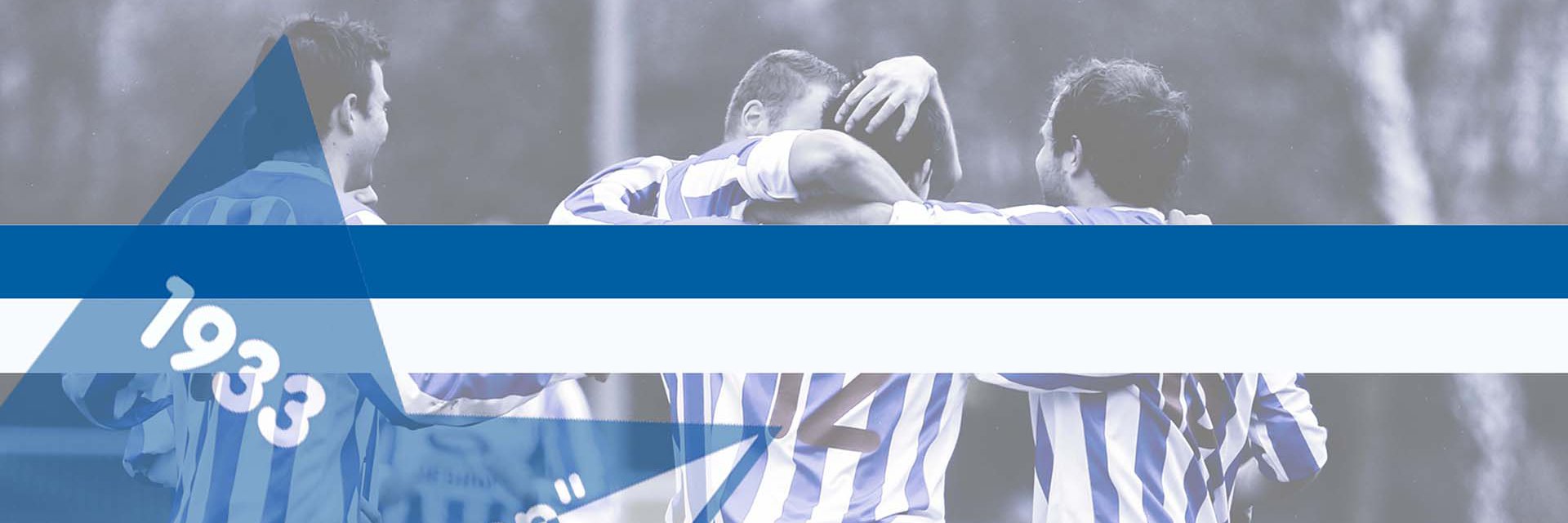 V.V. Steenbergen banner