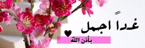 anoshsweet's profile banner image