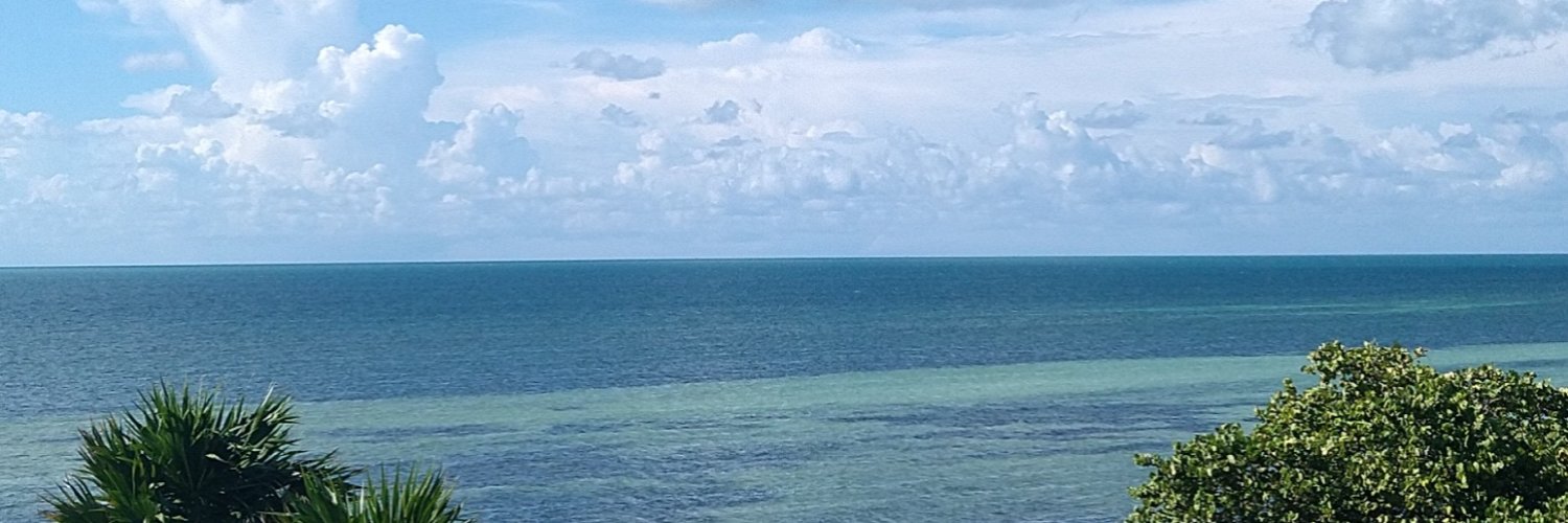 _leethaluxxe's profile banner image