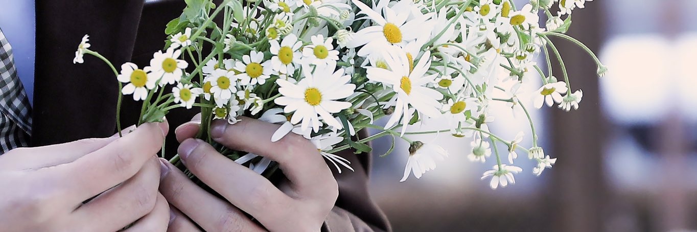 thvangls's profile banner image