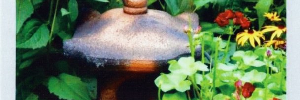 carolstephen2's profile banner image