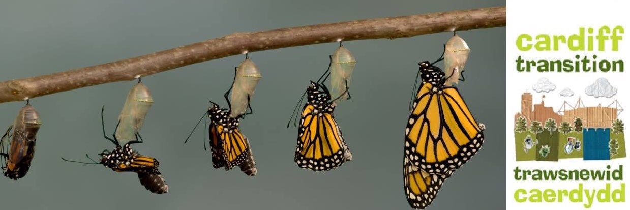 Cardiff Transition banner
