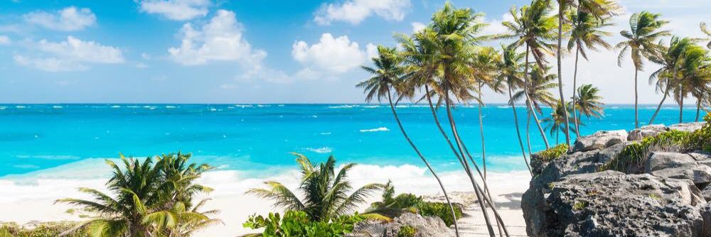 SebastienZian's profile banner image
