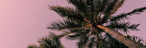 GeorgiaHellens's profile banner image