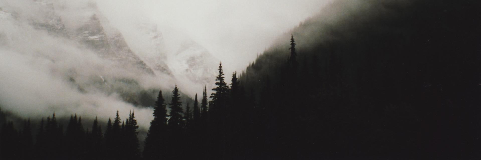 jizent's profile banner image