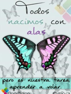dsrojas855's profile banner image