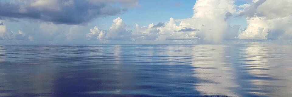 RossHadley's profile banner image