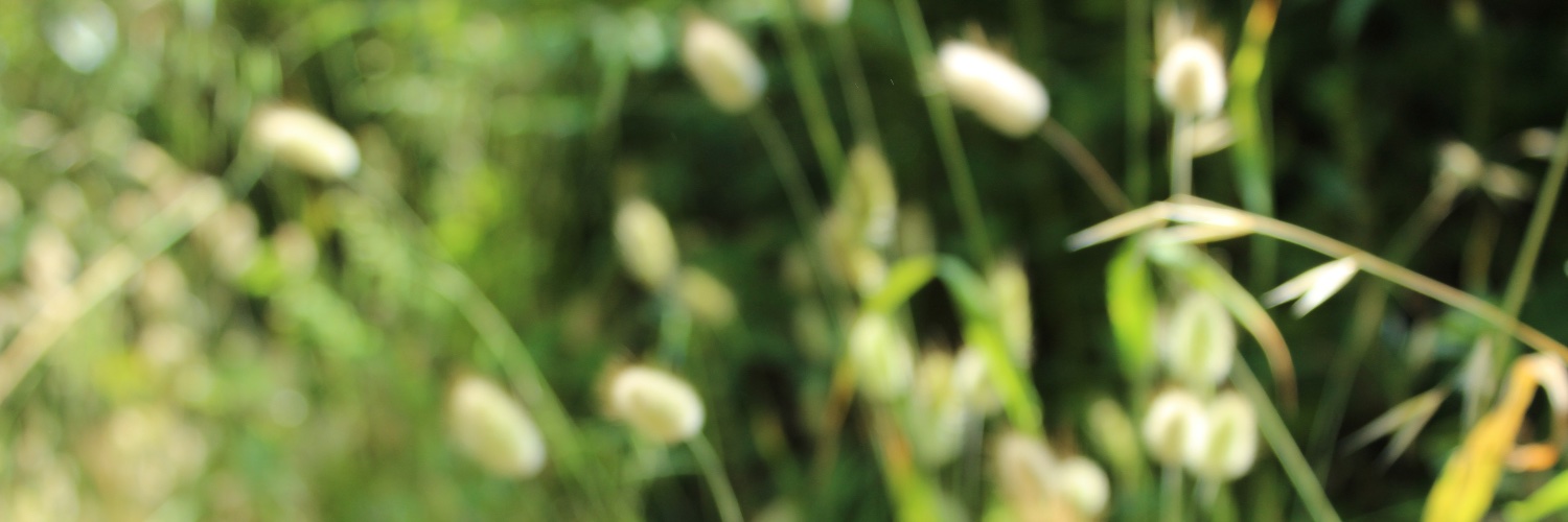 Prov_Legal's profile banner image