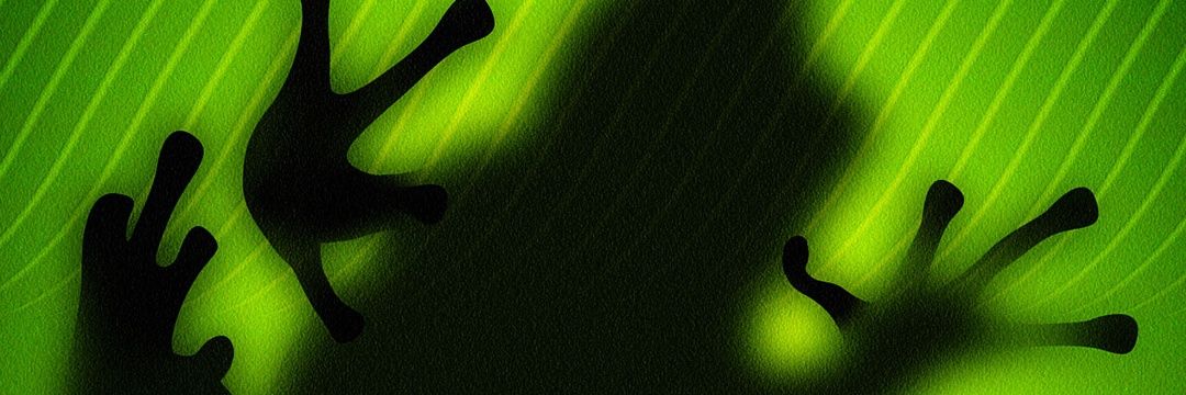 iRaferBS's profile banner image