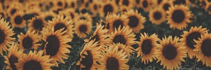 aisyhshrm's profile banner image