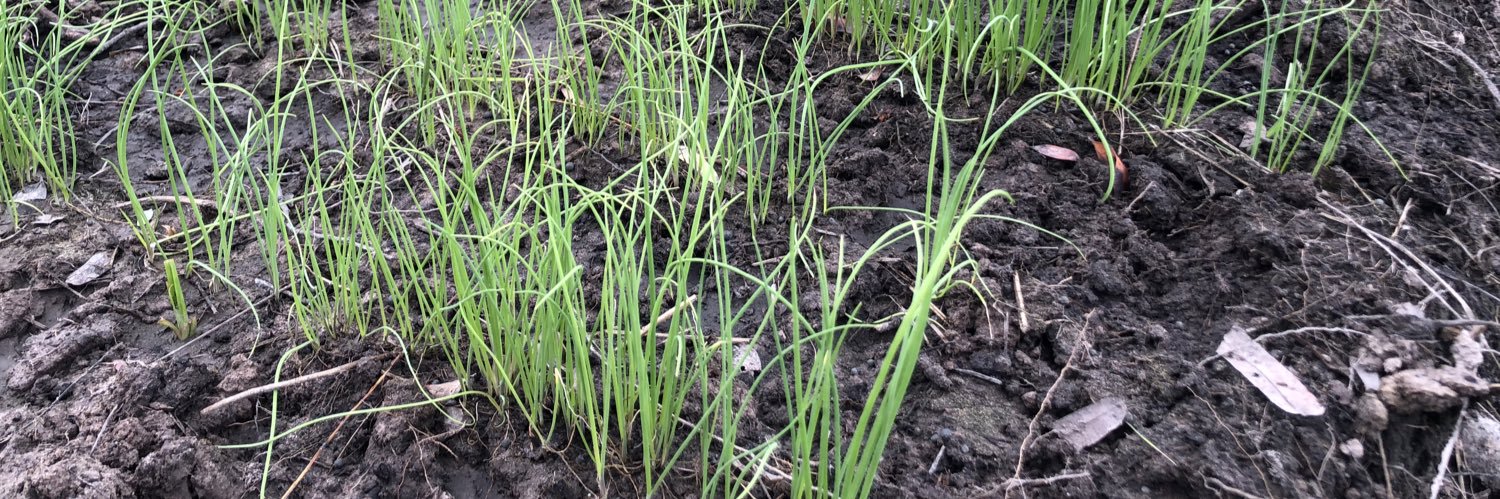 Alinani (AJ) 🙏🏿 banner