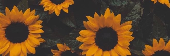 Avpyuhdig's profile banner image
