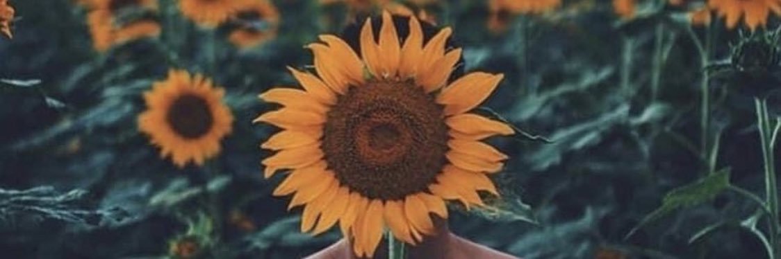 SunnieDipp's profile banner image