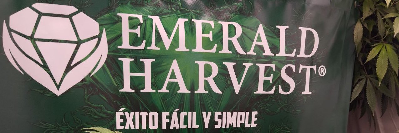 EmeraldHarvEU's profile banner image