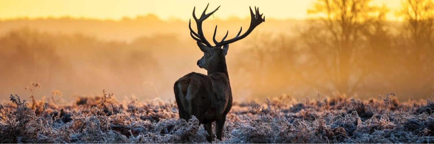chumba88's profile banner image