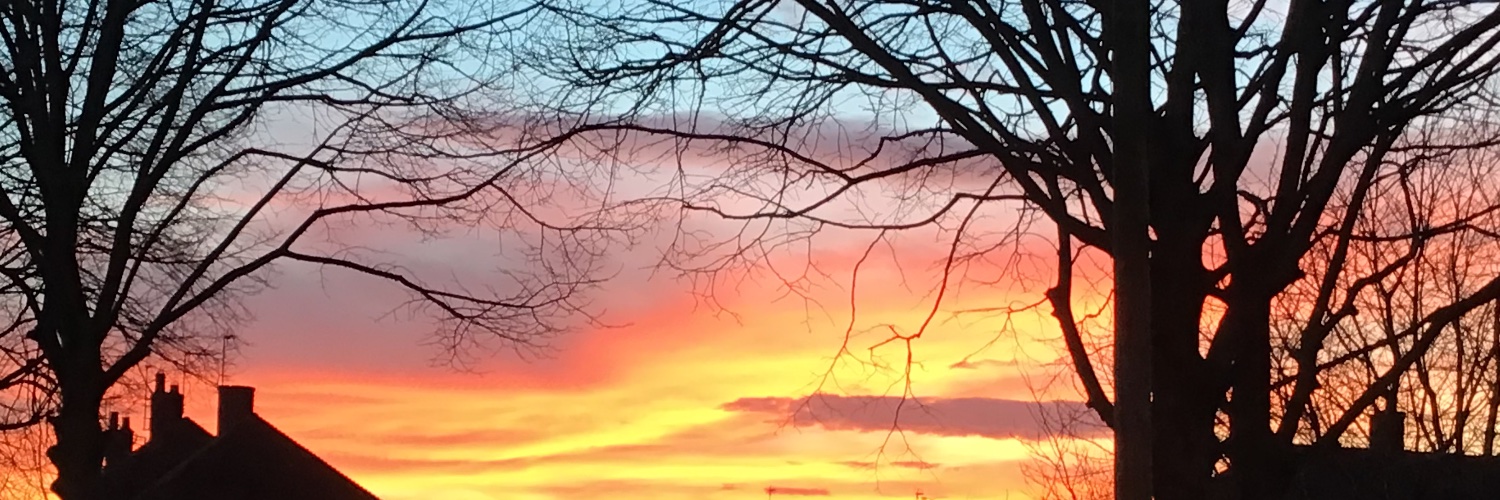 AlisonDean6's profile banner image