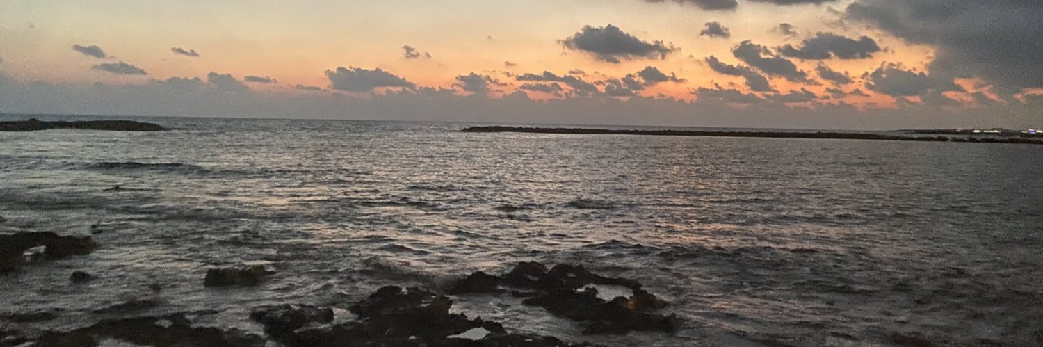 Danae Polyviou banner