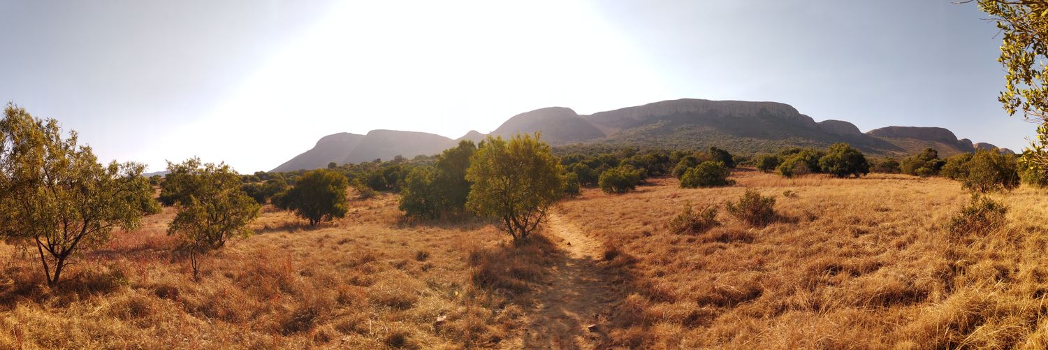 Lepkeen's profile banner image