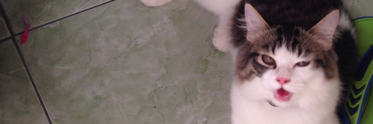 rtndra's profile banner image